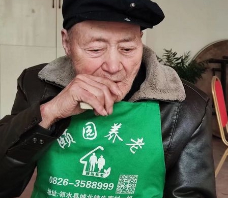 案例展示